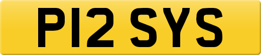 P12SYS